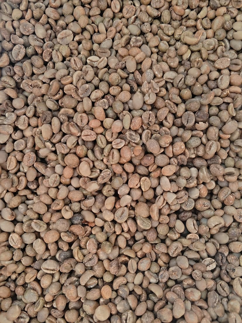 Premium Quality Beans