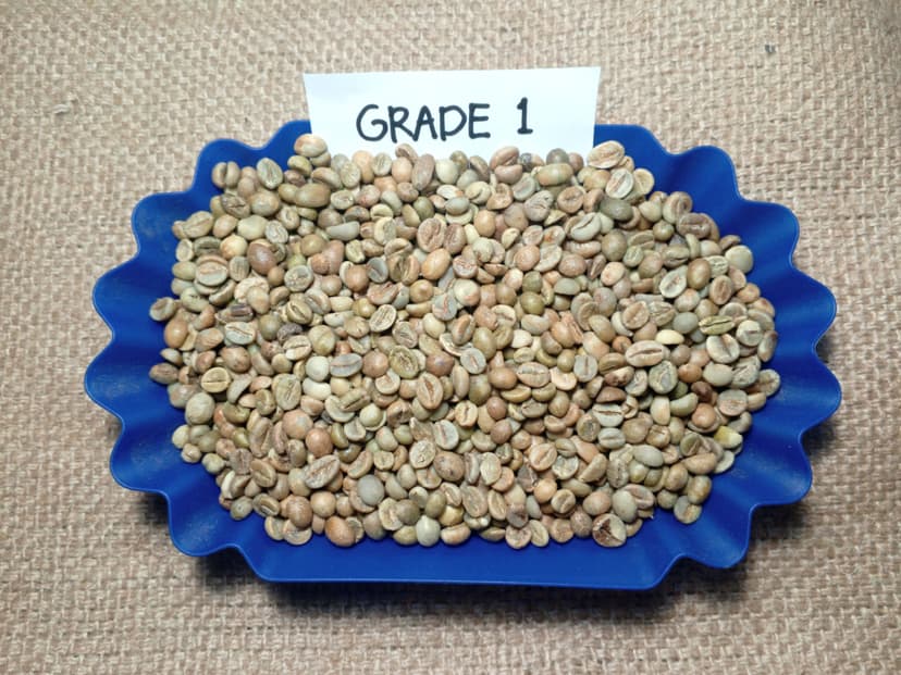 Indonesian Robusta EK-1 Grade 1 / 11 DEF