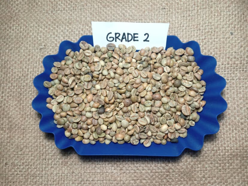 Indonesian Robusta EK-1 Grade 2 / 25 DEF