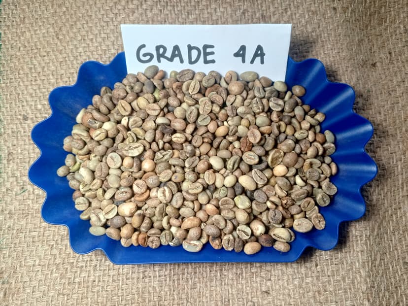 Indonesian Robusta EK-1 Grade 4A / 60 DEF