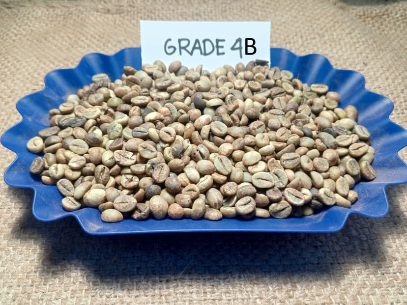 Indonesian Robusta EK-1 Grade 4B / 80 DEF