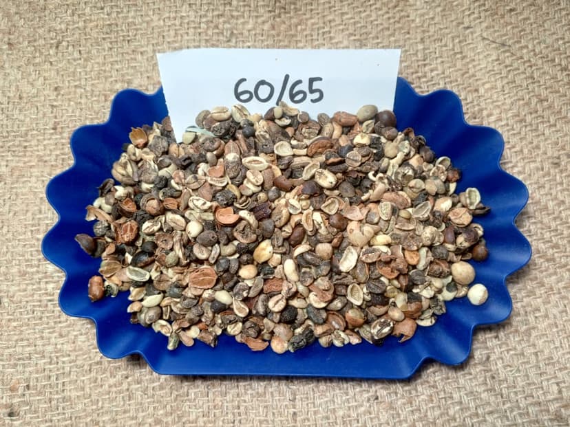 Indonesian Robusta Triage 60/65