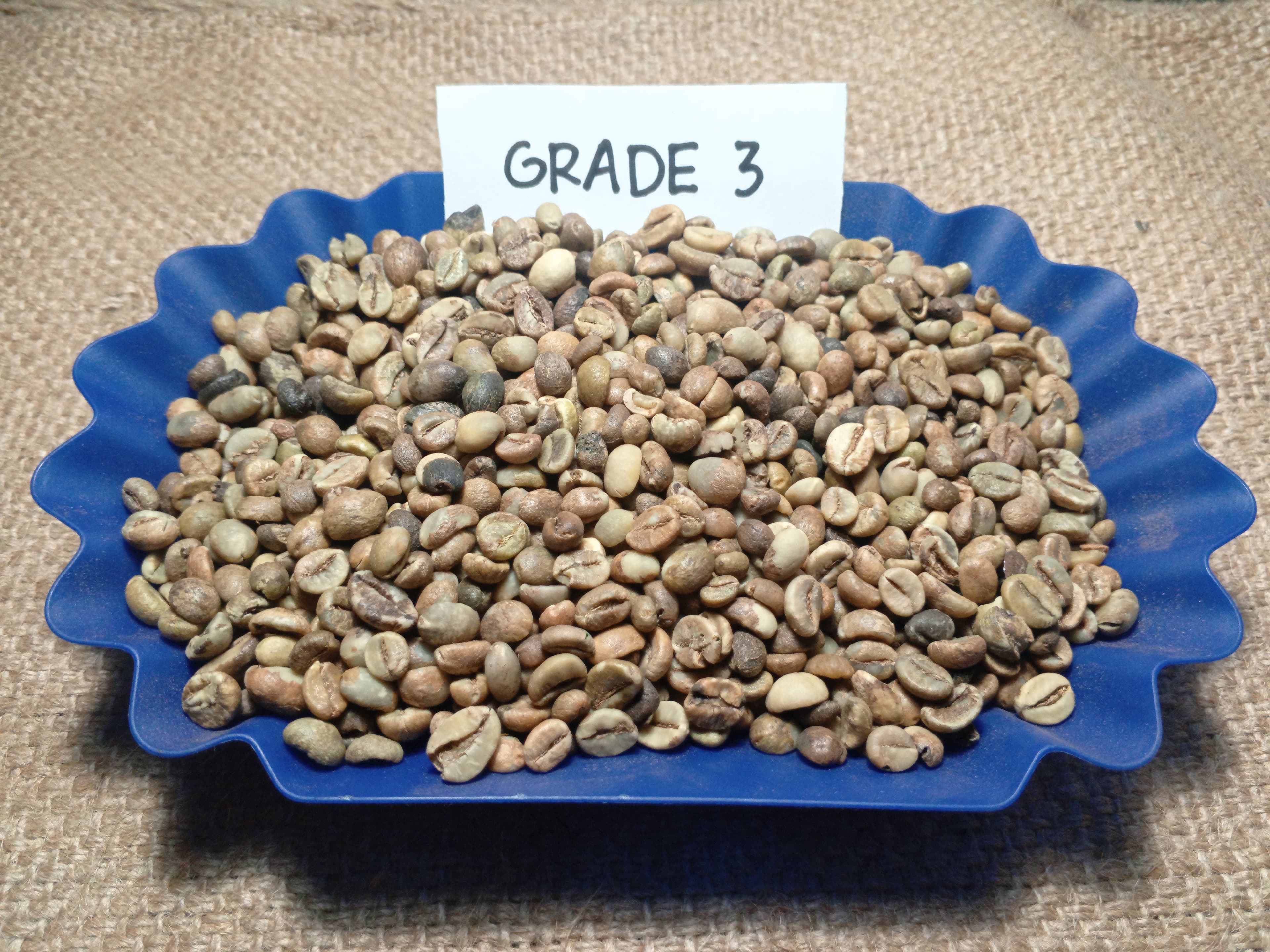 Indonesian Robusta Grade 3
