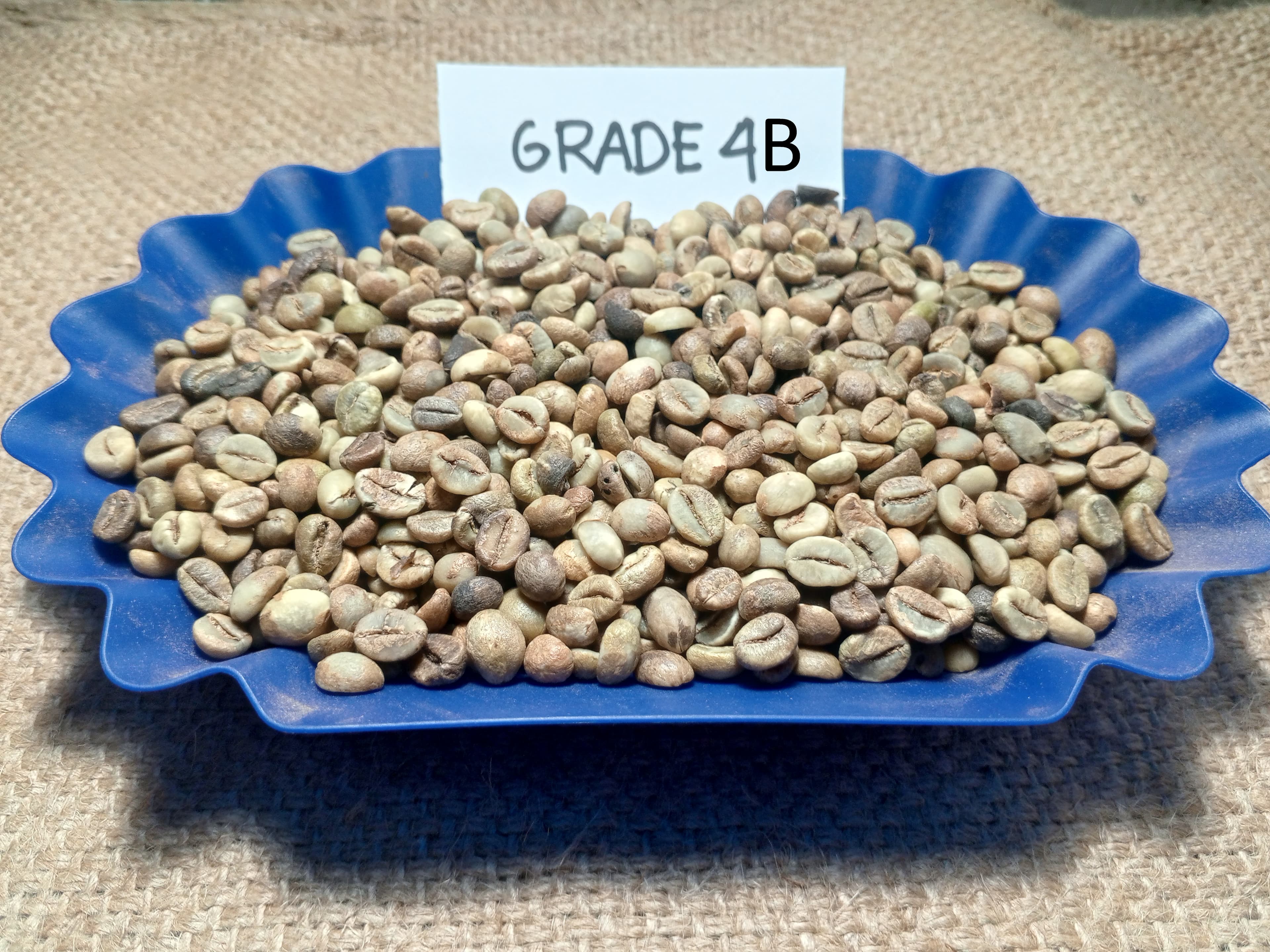 Indonesian Robusta Grade 4B
